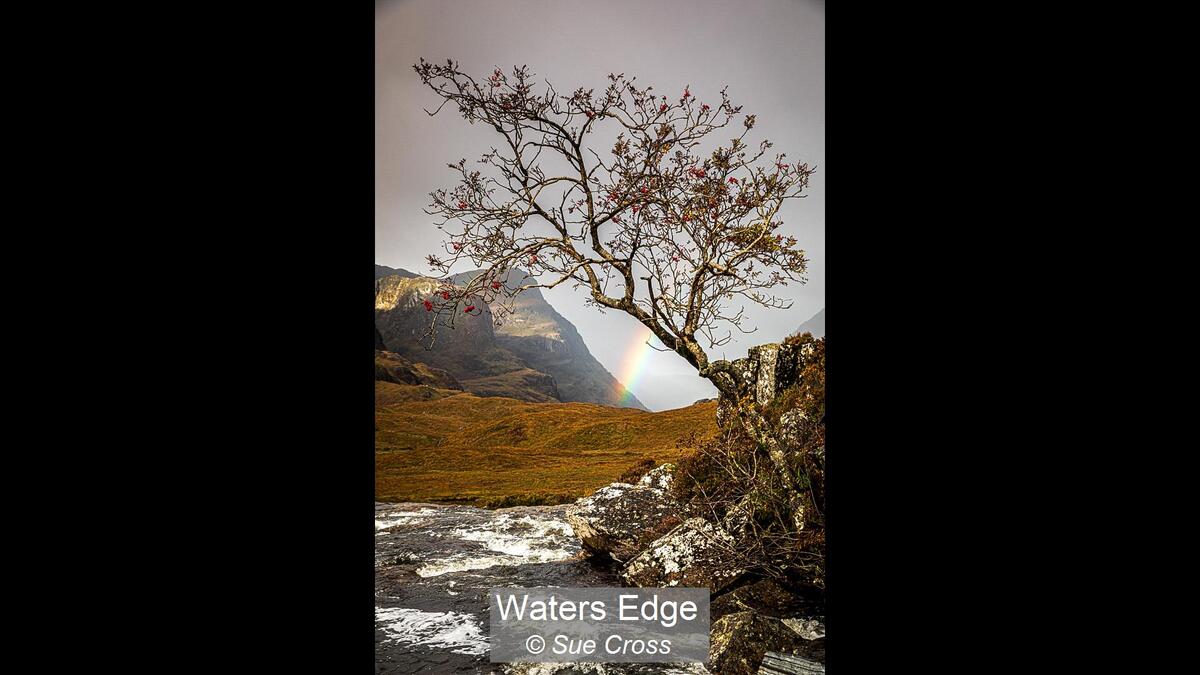 22_Waters Edge_Sue Cross